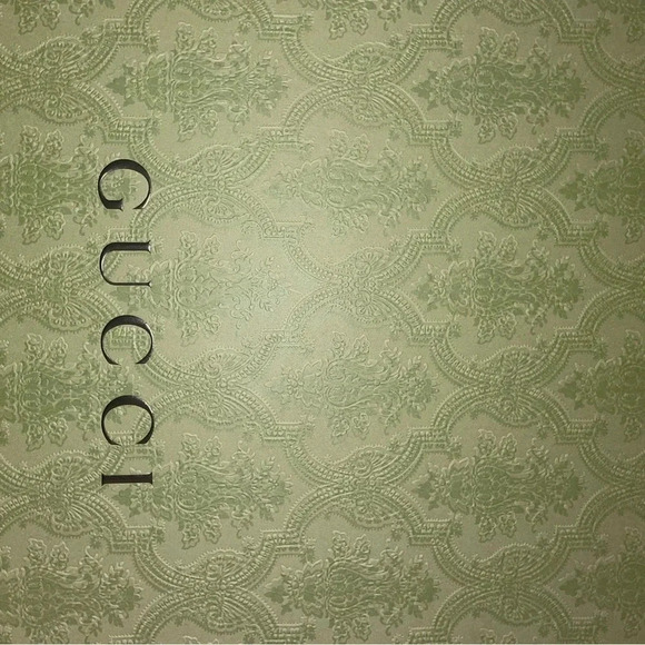 AUTHENTIC MEDIUM GARMENT BOX GREEN PAISLEY TEXTURED WITH TISSUE PAPER - Picture 5 of 8